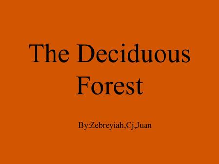 The Deciduous Forest By:Zebreyiah,Cj,Juan. The deciduous forest is located in the eastern half of north America. We live in a deciduous forest. Deciduous.
