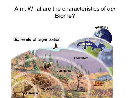 Aim: What are the characteristics of our Biome?