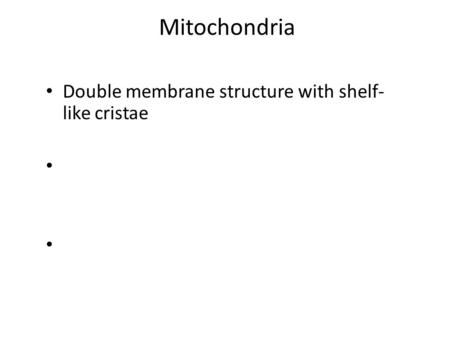 Mitochondria Double membrane structure with shelf- like cristae.