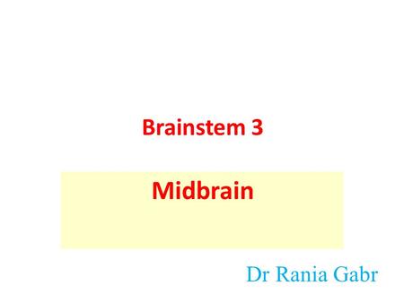 Brainstem 3 Midbrain Dr Rania Gabr.