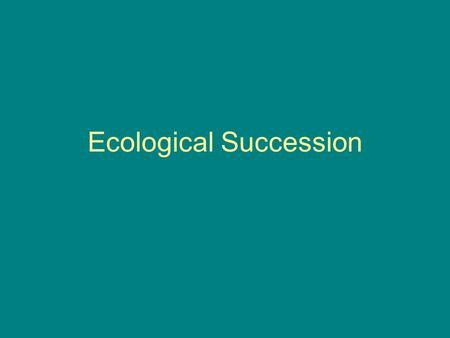 Ecological Succession. Examples of Changing Ecosystems A forest could have been a shallow lake a thousand years ago. Mosses, shrubs, and small trees cover.