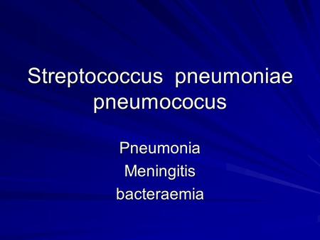 Streptococcus pneumoniae pneumococus PneumoniaMeningitisbacteraemia.