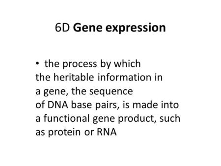 6D Gene expression the process by which the heritable information in a gene, the sequence of DNA base pairs, is made into a functional gene product, such.
