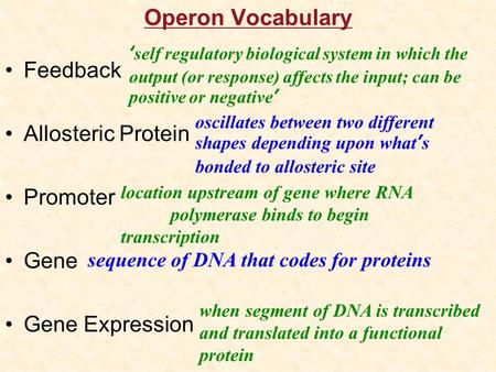 Operon Vocabulary Feedback Allosteric Protein Promoter Gene