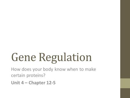 Gene Regulation How does your body know when to make certain proteins? Unit 4 – Chapter 12-5.