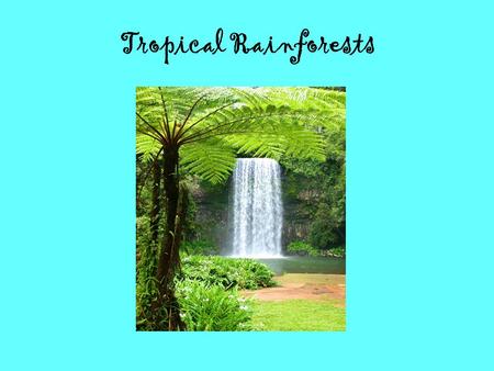 Tropical Rainforests. Tropical Rainforests: Location Tropical rainforests are located equator. Fifty seven percent of all tropical rainforests are found.