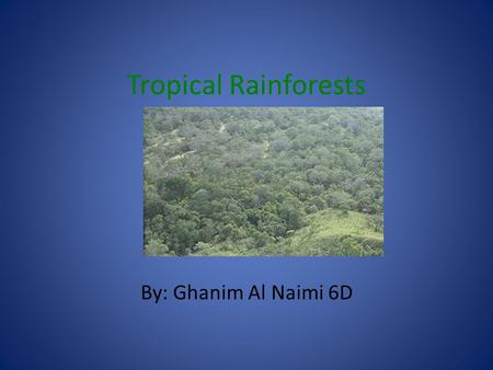 Tropical Rainforests By: Ghanim Al Naimi 6D. What is the Tropical Rainforest? Tropical rainforests are located around the equator from the Tropic of Cancer.