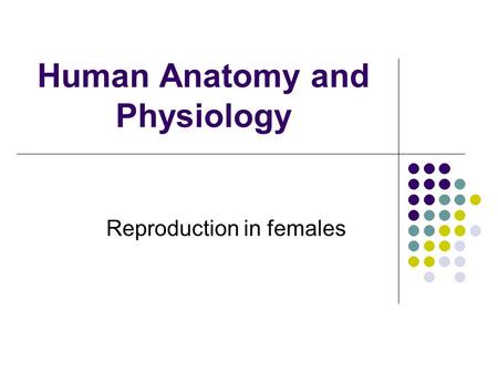Human Anatomy and Physiology Reproduction in females.