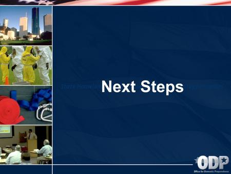 State Homeland Security Assessment and Strategy Program Next Steps.