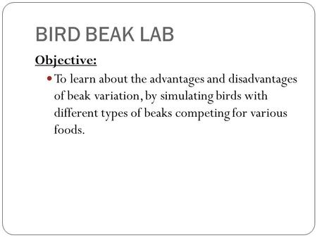 BIRD BEAK LAB Objective: