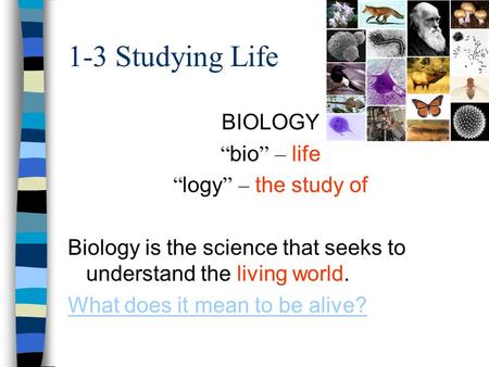 1-3 Studying Life BIOLOGY “ bio ” – life “ logy ” – the study of Biology is the science that seeks to understand the living world. What does it mean to.