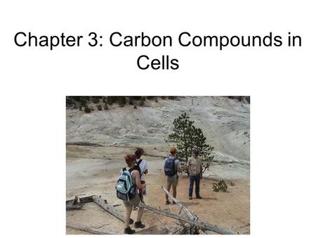 Chapter 3: Carbon Compounds in Cells. I. Organic Chemistry A. What is organic? 1.Made by Living Things (organisms)…but then Stanley Miller’s experiment.