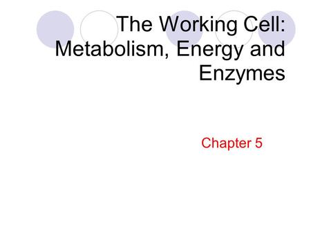 The Working Cell: Metabolism, Energy and Enzymes Chapter 5.