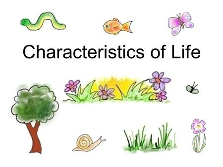 Characteristics of Life. Biology Biology is the study of life. A biologist seeks to understand the living world. “Bio” = life “ology” = study of.