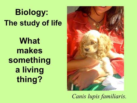 What makes something a living thing? Canis lupis familiaris. Biology: The study of life.