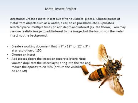 Metal Insect Project Directions: Create a metal insect out of various metal pieces. Choose pieces of metal from objects such as a watch, a car, an engine.