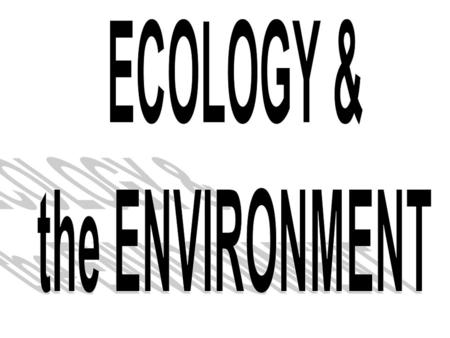 ECOLOGY & the ENVIRONMENT.