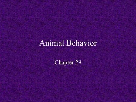 Animal Behavior Chapter 29. What is Behavior?? Behavior – observable and coordinated responses to environmental stimuli Genetic or Learned or Both???