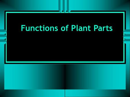 Functions of Plant Parts. Functions of Roots: 1. To take in oxygen during respiration. 2. To give off carbon dioxide during respiration.