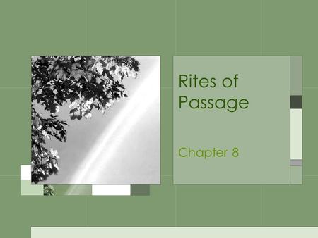 Rites of Passage Chapter 8. Pubertal Changes What is puberty?