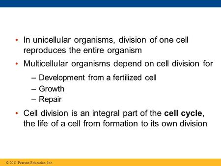 In unicellular organisms, division of one cell reproduces the entire organism Multicellular organisms depend on cell division for –Development from a fertilized.