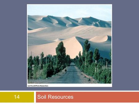 14 Soil Resources.