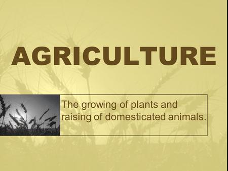 AGRICULTURE The growing of plants and raising of domesticated animals.