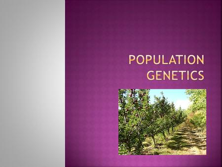  The science of genetic change in populations.  Population- interbreeding single-species group  individuals of the same species, living in the same.