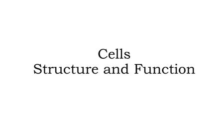 Cells Structure and Function. Cell Structure & Function Cell PartFunctionPlant/Animal/ Both? Cell Wall Provides cell with structure & holds it upright.