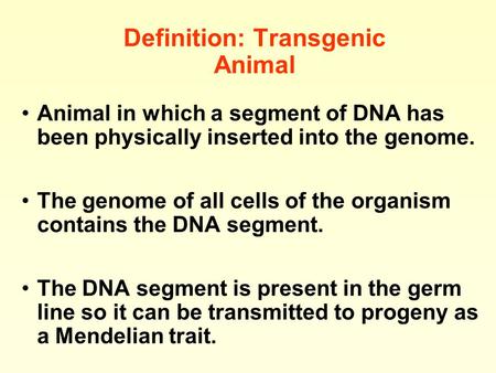 Definition: Transgenic Animal Animal in which a segment of DNA has been physically inserted into the genome. The genome of all cells of the organism contains.
