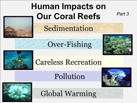 Human Impacts on Our Coral Reefs Global Warming Sedimentation Over-Fishing Careless Recreation Part 3 Pollution.
