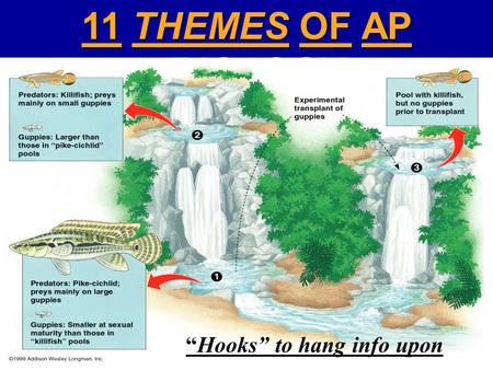11 THEMES OF AP BIOLOGY “Hooks” to hang info upon.