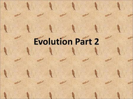 Evolution Part 2. Vocabulary Adaptive value– the value to the population of an adaptation Common Descent – organisms have a common ancestor.