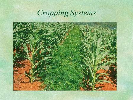 Cropping Systems. Pattern of crops taken up for a given piece of land, or sequence in which the crops are cultivated on piece of land over a fixed period.