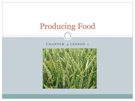 Producing Food Chapter 2 Lesson 1.