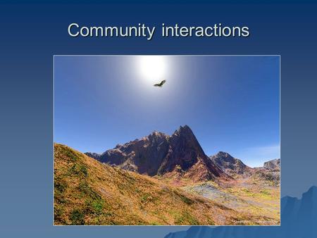Community interactions