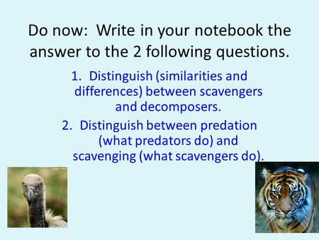 Do now: Write in your notebook the answer to the 2 following questions. Distinguish (similarities and differences) between scavengers and decomposers.