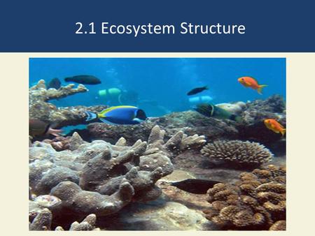 2.1 Ecosystem Structure. Ecosystems Have Living and Nonliving Components Abiotic – Non-living Water Air Nutrients Rocks Heat Solar energy Biotic- Living.