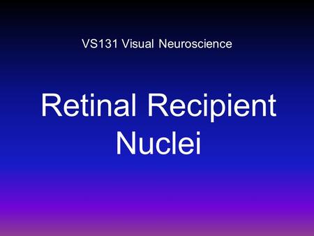 VS131 Visual Neuroscience