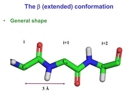 3 Å i i+1 i+2 CαCα CαCα CαCα The  (extended) conformation General shape.