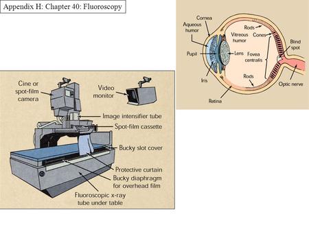 Appendix H: Chapter 40: Fluoroscopy