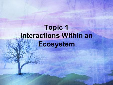 Topic 1 Interactions Within an Ecosystem. I. Interactions Within an Ecosystem Ecology is the study of the relationship between living organisms and their.