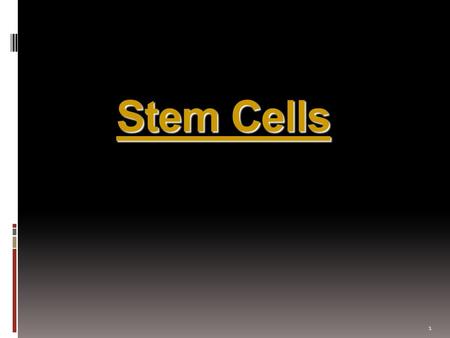 Stem Cells Stem Cells 1. What is a Stem Cell? GeneralSpecific  Unspecialized cells  Give rise to more than 250 specialized cells in the body  Serve.