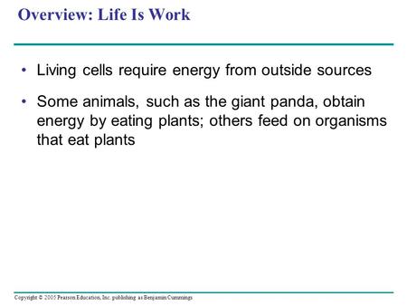 Copyright © 2005 Pearson Education, Inc. publishing as Benjamin Cummings Overview: Life Is Work Living cells require energy from outside sources Some animals,