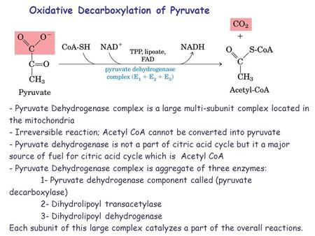 Oxidative Decarboxylation of Pyruvate