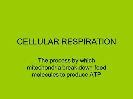 CELLULAR RESPIRATION The process by which mitochondria break down food molecules to produce ATP.