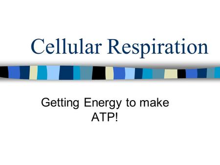 Cellular Respiration Getting Energy to make ATP!.