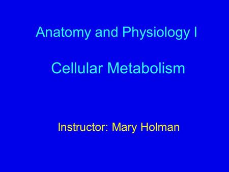 Anatomy and Physiology I Cellular Metabolism Instructor: Mary Holman.