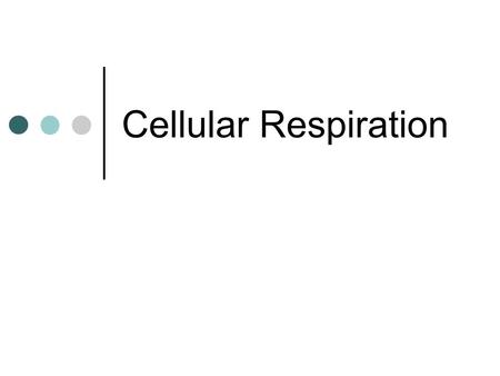 Cellular Respiration. Process by which cells release energy from molecules of food. Carbohydrates, fats and proteins all contain energy This energy is.