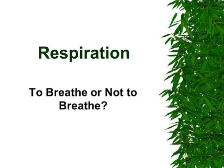 Respiration To Breathe or Not to Breathe?. Concepts You Can Never Forget….Ever! Animal Plant What is the function of this organelle? Mitochondria Why.